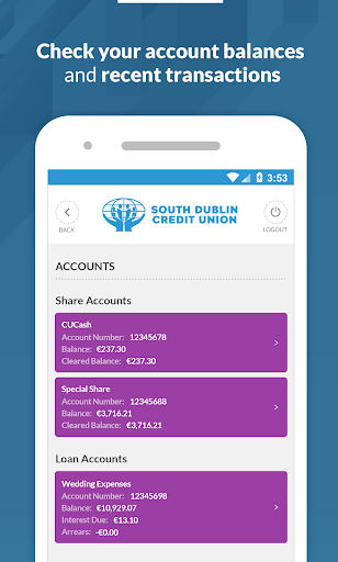 South Dublin Credit Union Screen 2