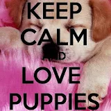 Keep Calm 4 PUPPIES icon