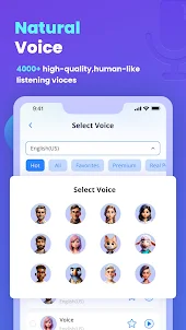 VoxBox -Text to Speech Toolbox