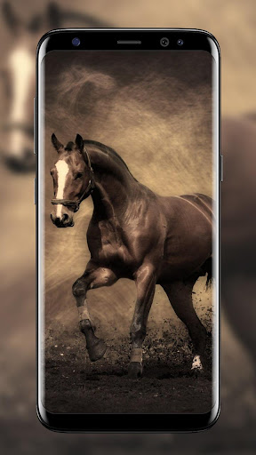Horse Wallpapers