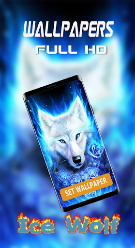 Blue Ice Fire Wolf HD Wallpapers