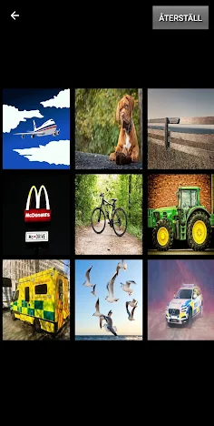 Bil Bingo - Screenshot 2