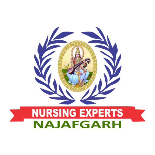NURSING EXPERTS NAJAFGARH logo