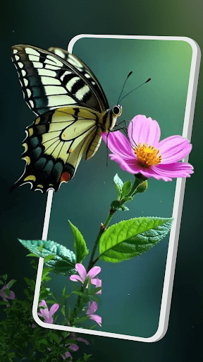 Live Wallpaper - Wallpapers 4D