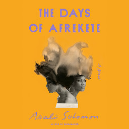 Icon image The Days of Afrekete: A Novel