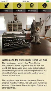 Hemingway Cats App
