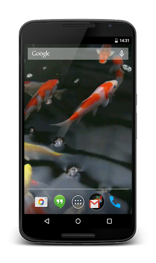 Koi Video Live Wallpaper Screen 2