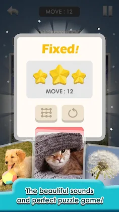 Fix it : Sliding Puzzle - Screenshot 4