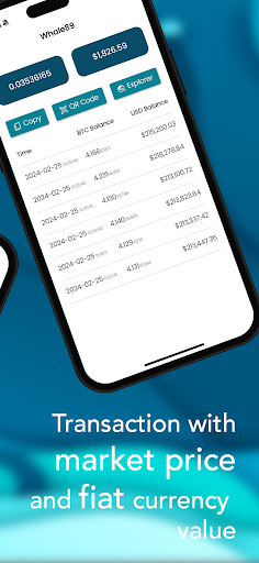 BTC Address Monitoring Screen 2