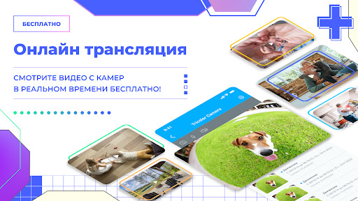 Android application Триколор Видеонаблюдение screenshort