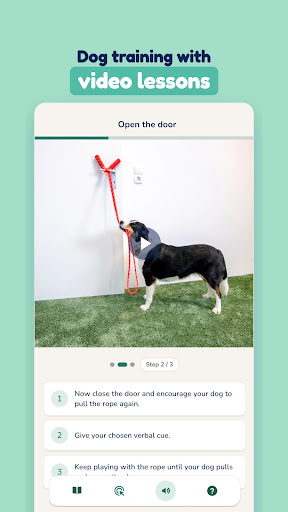 Hundeo - Puppy & Dog Training screenshot 3