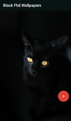 Black Fhd Wallpapers