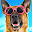 Funny animals. Funny pets. Funny movies Download on Windows