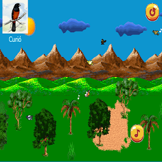 Pássaros - Screenshot 3