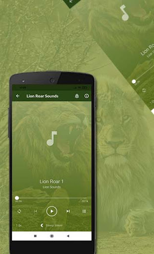 Lion Sounds Screen 3