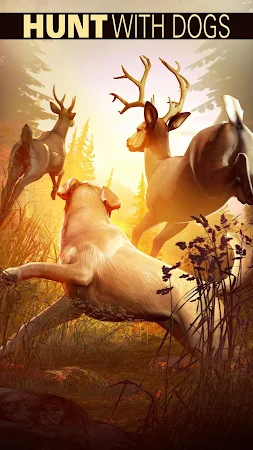 Game screenshot Deer Hunter 2018 apk download