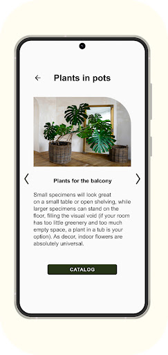 Business Screen 2