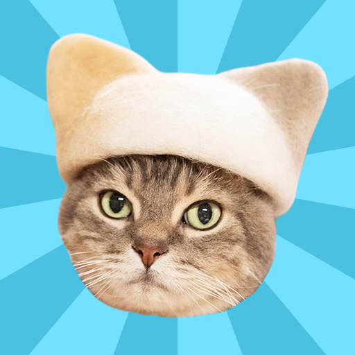 Wallpaper : Kucing - Kucing Unduh di Windows