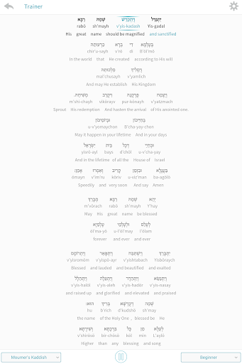 Screenshot of Kaddish Assistant