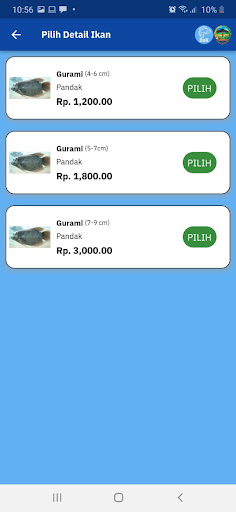 Doli Screen 3