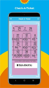 ¿Cuáles son las reglas e instrucciones de la lotería?