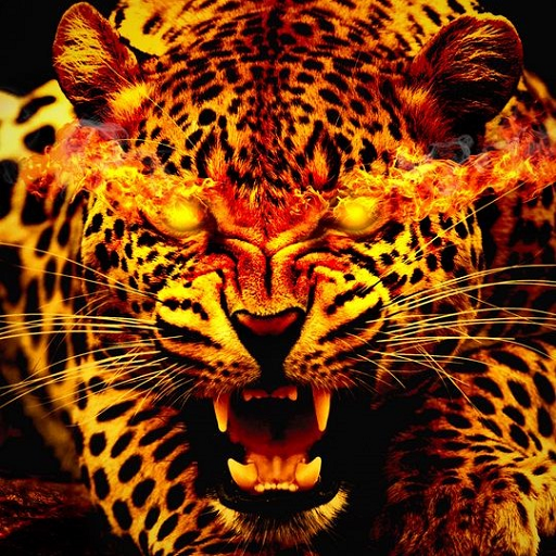 Tiger and Lion Wallpapers logo
