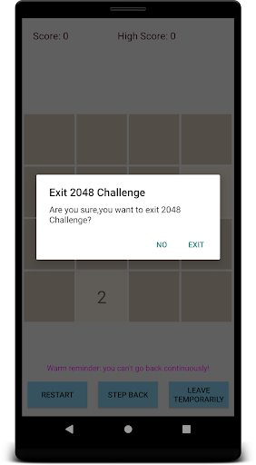 2048 Challenge Screen 2
