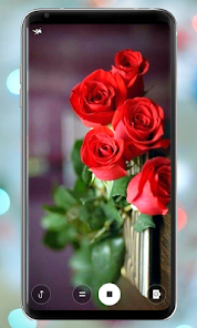 Captura de Pantalla 2 Rose Mobile Wallpapers android