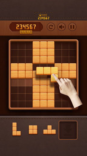 wood99 Sudoku  screenshots 1