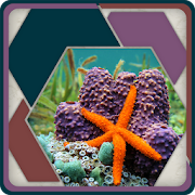 Top 14 Puzzle Apps Like HexSaw - Undersea - Best Alternatives