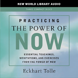图标图片“Practicing the Power of Now”