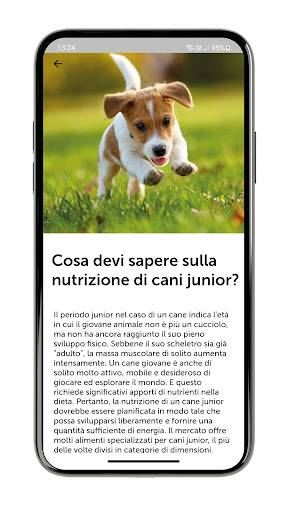 Android application MyPetStory IT screenshort