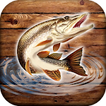 Cover Image of Download Fish Rain: Sport Fishing Games. Fishing Simulator. 0.2.2 APK