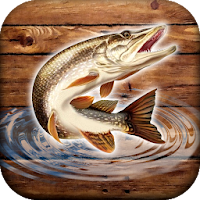 Fish rain: sport fishing