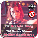 Cover Image of ดาวน์โหลด DJ Gratata Dung Ratata x DJ Numa Numa Yei Offline 1.2 APK