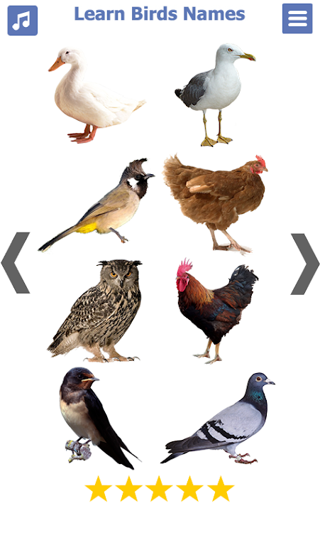 Birds name in English podle Flash Toons Android Birds name in English podle Flash Toons Android