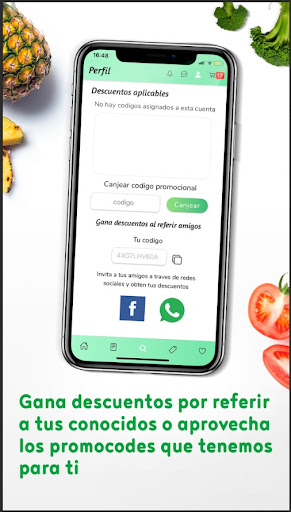 Proyectos mexicanos Screen 3