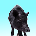 Cover Image of Download Pig Farts  APK