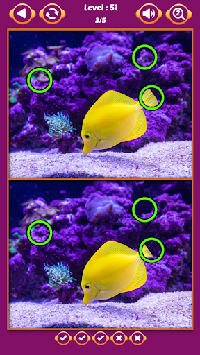 Find The Difference 750 Levels Screen 2