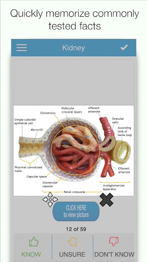 MCAT Biology Screen 2