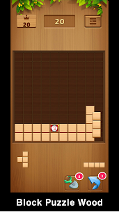 Block Puzzle Wood 7