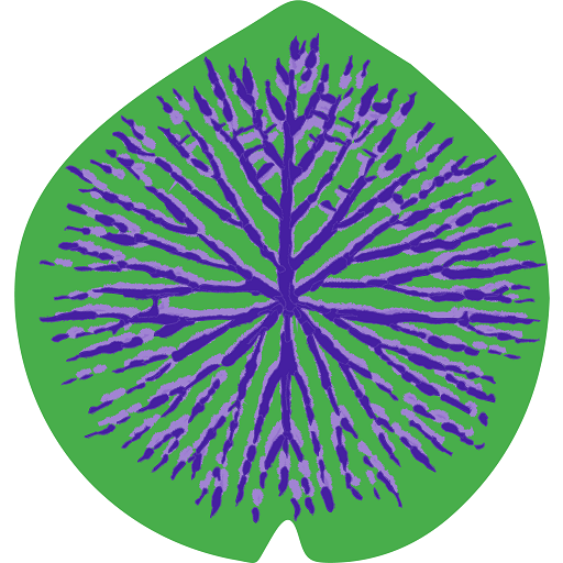 ARACI.lab logo