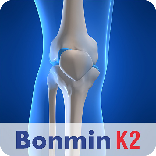 Bonmin K2 1.0.4 Icon