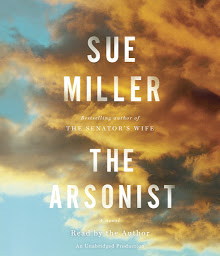 Icon image The Arsonist: A novel