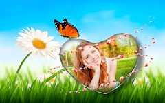 screenshot of Butterfly Photo Frames