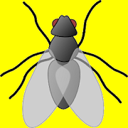 Squishy Fly  Icon