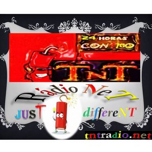 T N T Rádio NeT logo