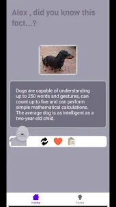Puppy Intelligence