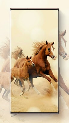 馬の壁紙のおすすめ画像2