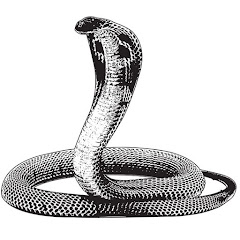 SHC(Snake Human Conflict) icon
